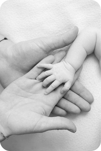 Adoption Process
