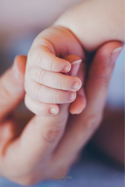 Adoption Process